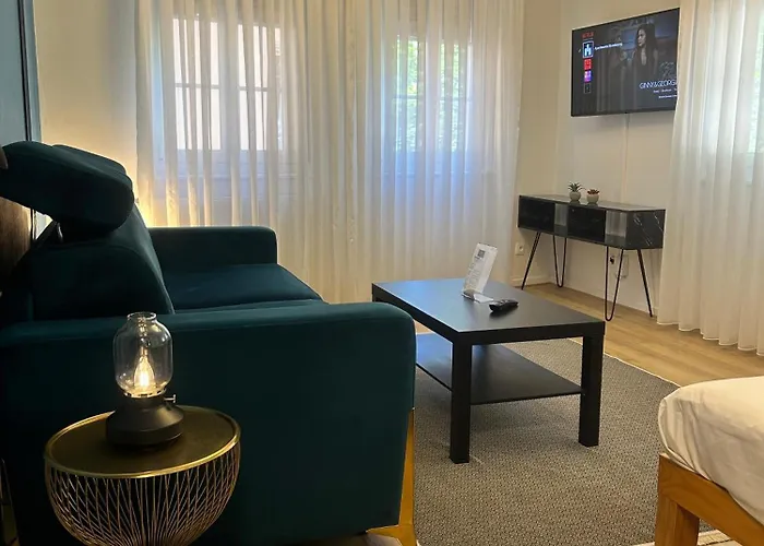 Petite France Apartment Strasbourg